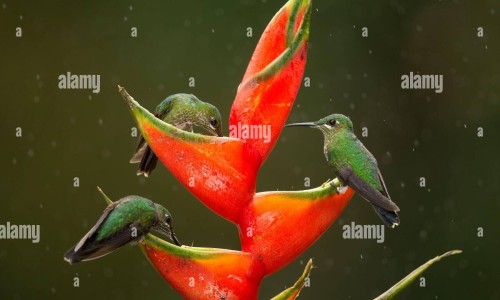 维生素e和蜂蜜一起擦脸的功效是什么-维生素e和蜂蜜一起擦脸的功效网 :分享维生素e和蜂蜜一起擦脸的功效去皱吗-维生素e与蜂蜜擦脸的功效知识
